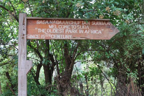 היער הלאומי מנגאשה - Menagesha